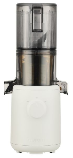 H310A Slow Juicer Entsafter mit 37-43 U/min Mushroom
